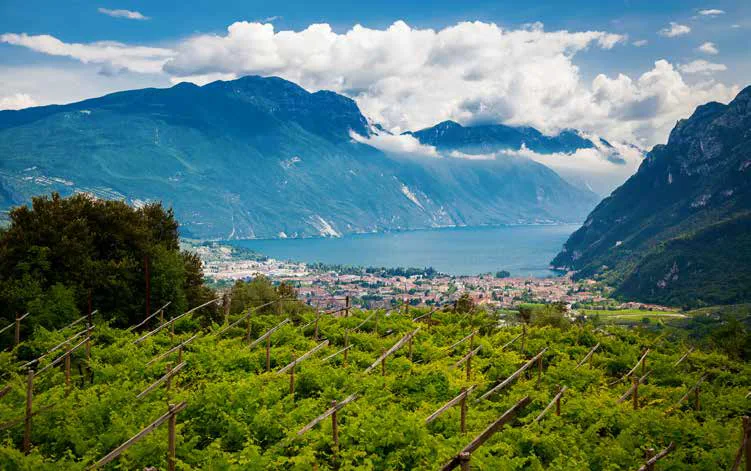 Buon cibo e tradizione contadina alla base del successo