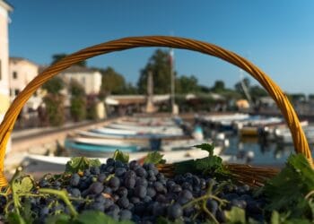 Bardolino si prepara per la Festa dell’uva