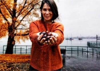 È tempo di castagne, un simbolo dell’autunno