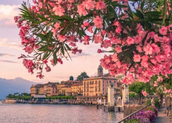 Marzo in fiore sul Lario