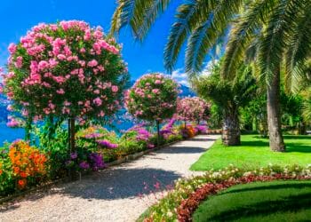 rionfo di fioritura sull’Isola Madre, sul Lago Maggiore. Sotto, il giardino di Villa Taranto, sulla sponda ovest
