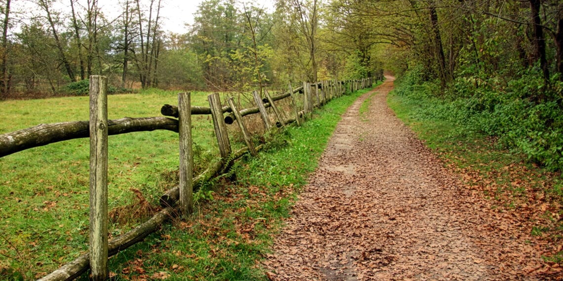 Il Parco dei Lagoni, patrimonio da tutelare