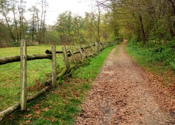 Lagoni Park, a natural heritage worth protecting