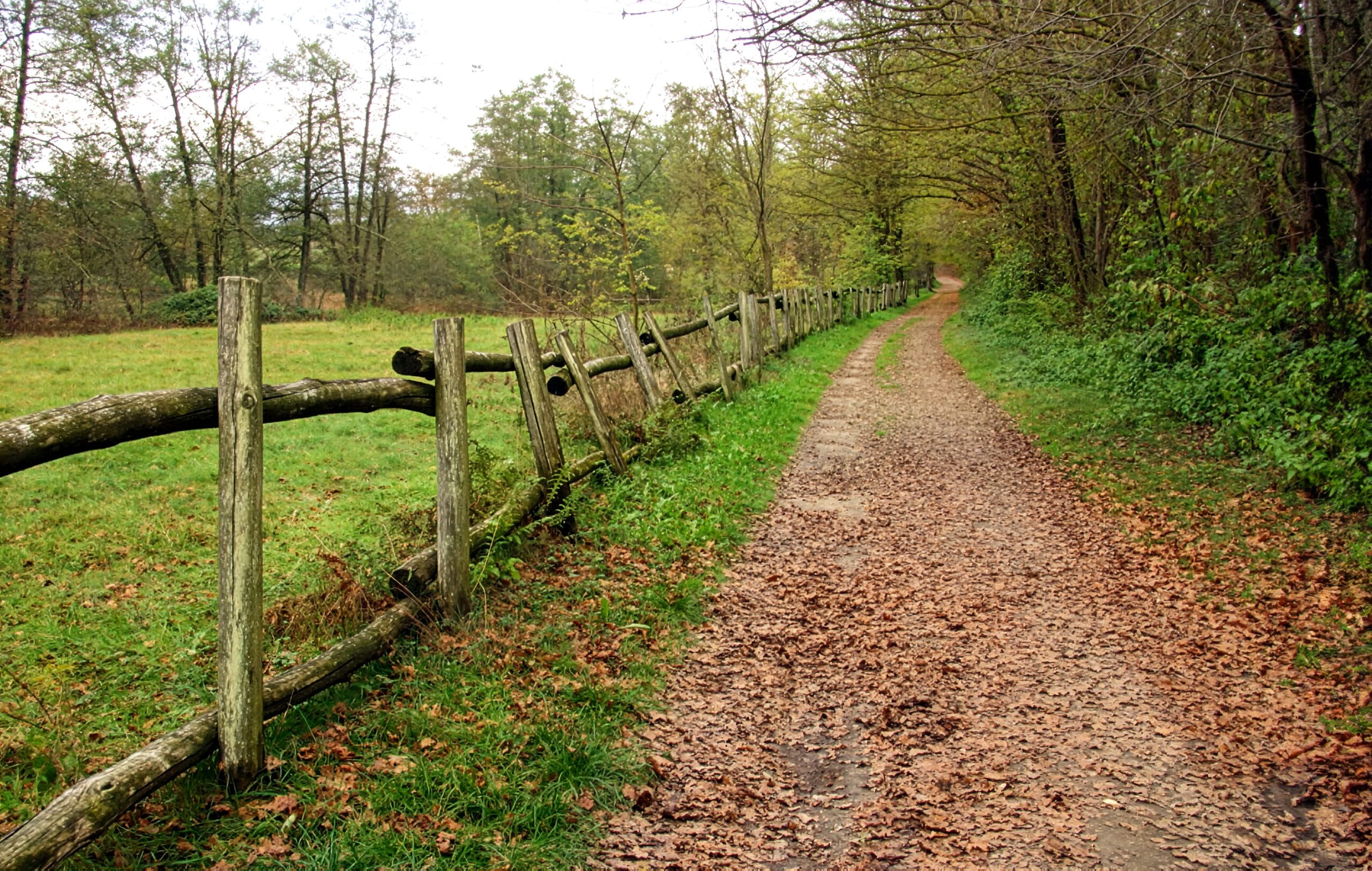 Lagoni Park, a natural heritage worth protecting